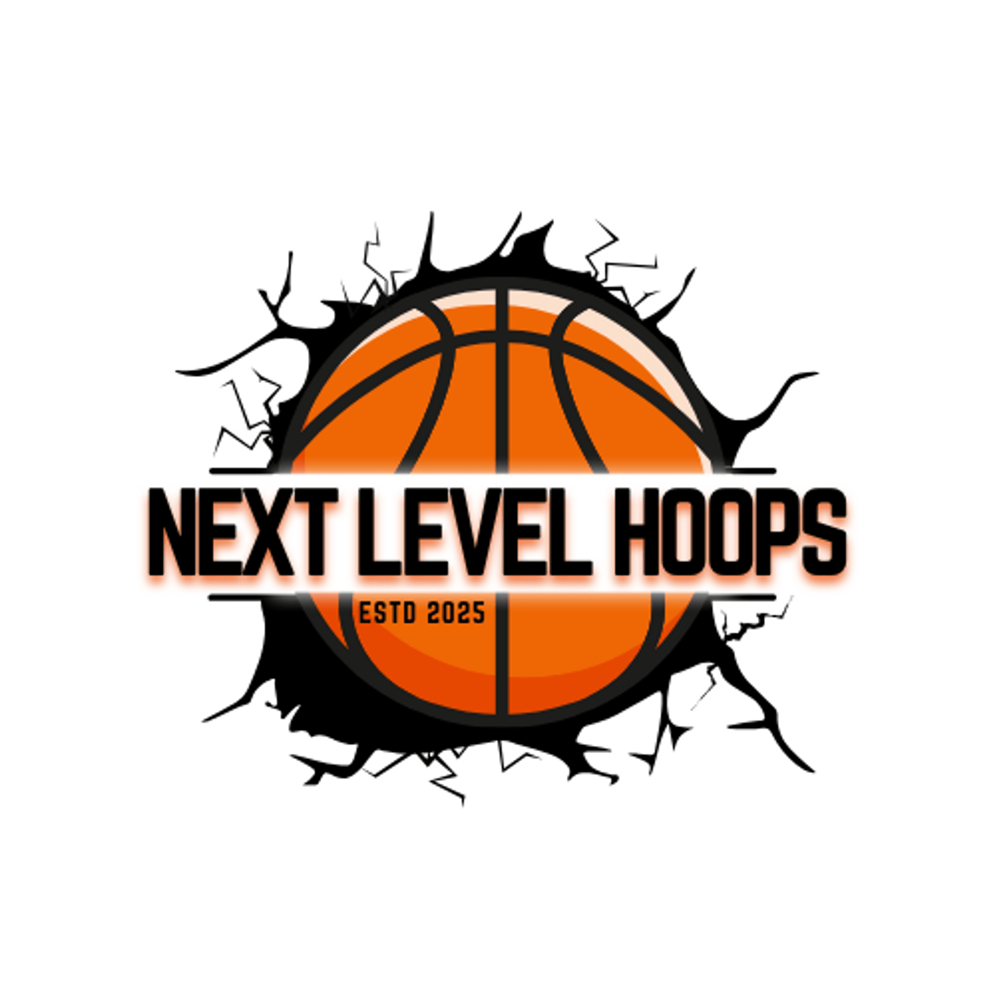 Next Level Hoops | undefined Logo